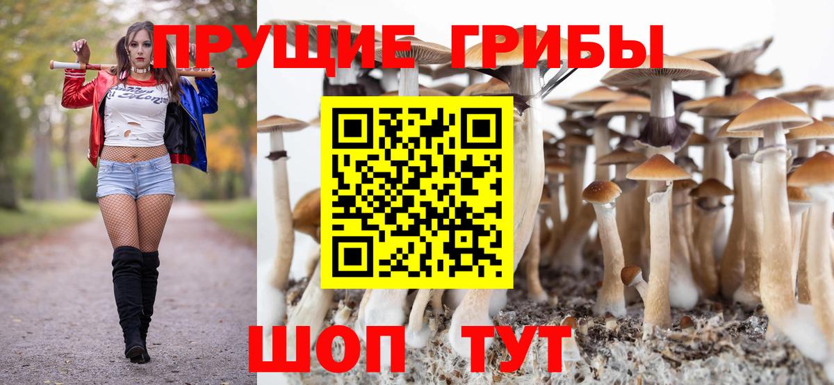 Псилоцибиновые грибы Psilocybine cubensis  Вход с VPN  Ипатово 